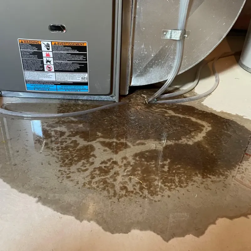 Appliance Leak Cleanup in Whitefield, NH